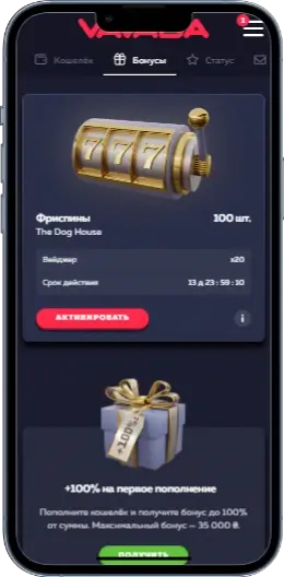 Бонуси в казино Vavada