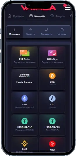 Гаманець в казино Вавада