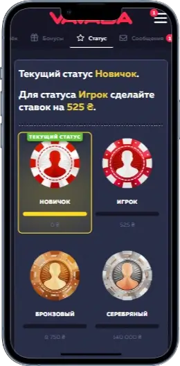 Статус в казино Vavada