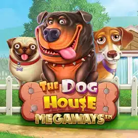 The Dog House Megaways Демо – огляд ігрового автомату, бонуси
